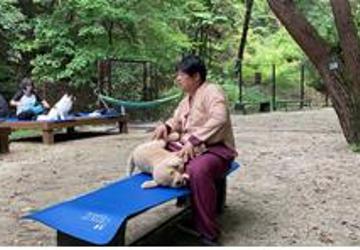 반려동행 숲치유(3시간)