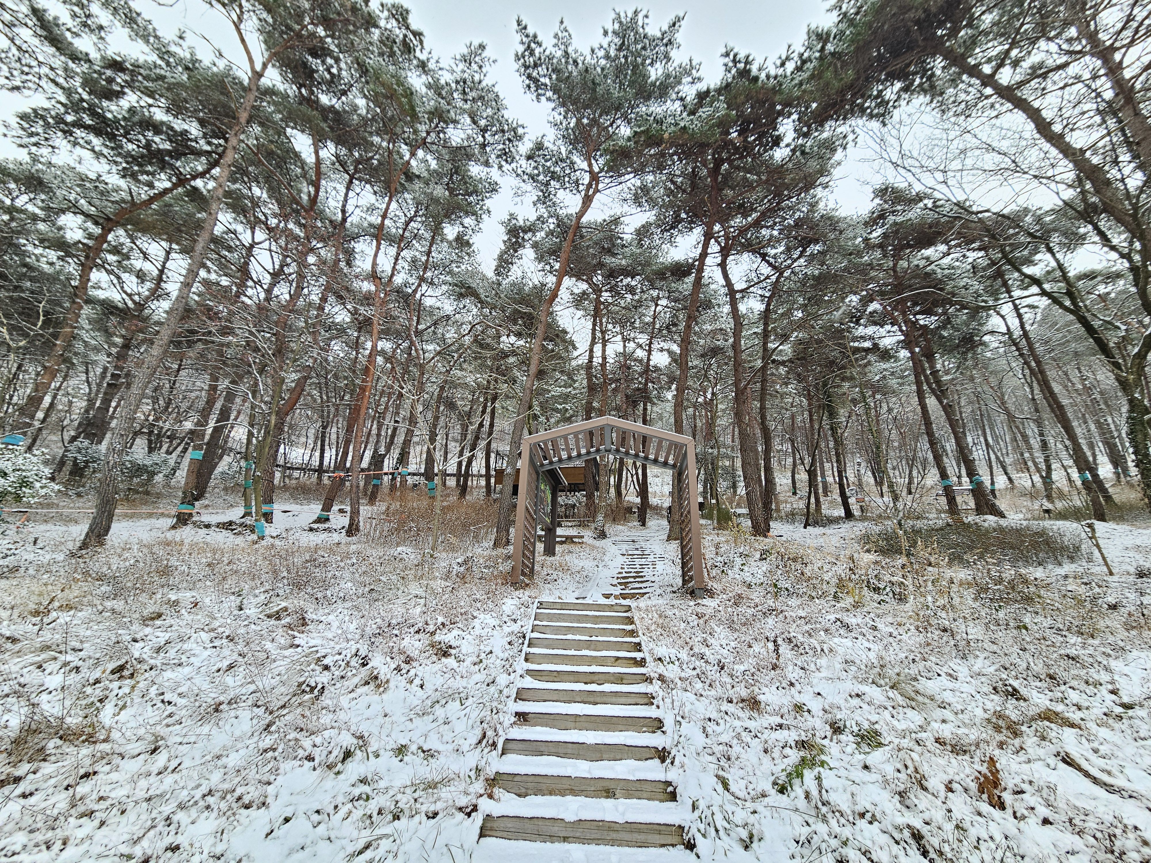 2025.1.7.(화) 나주숲체원 눈이 왔던 날 10.jpg