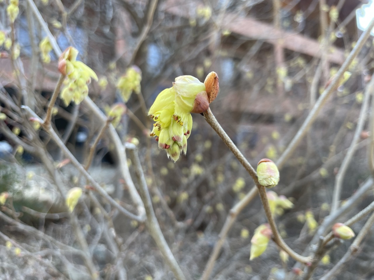 26 사진창고_사진_20240404_11.jpg