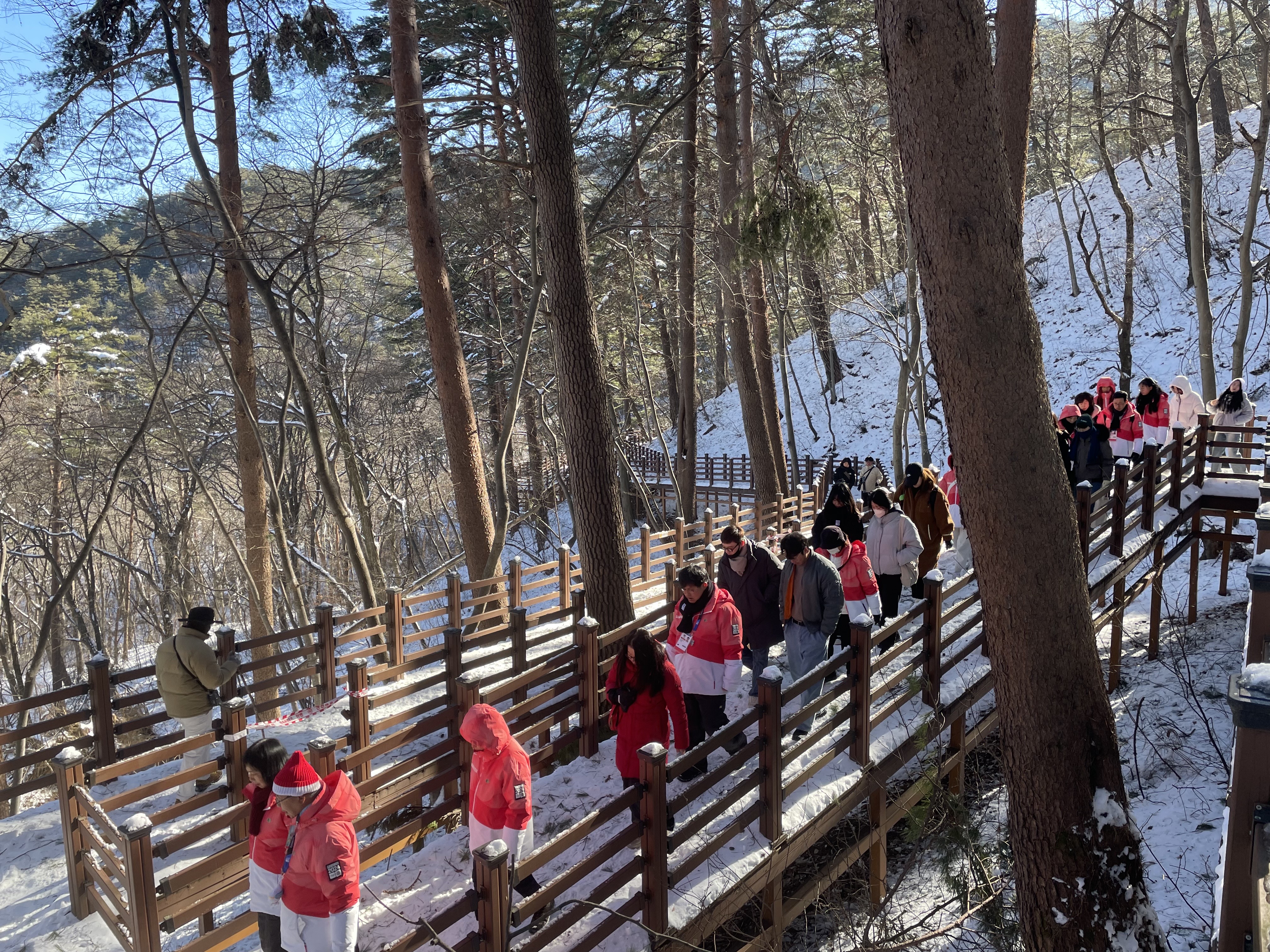 대관령 겨울 프로그램 사진 (1).jpeg