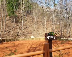 슬라이드이미지