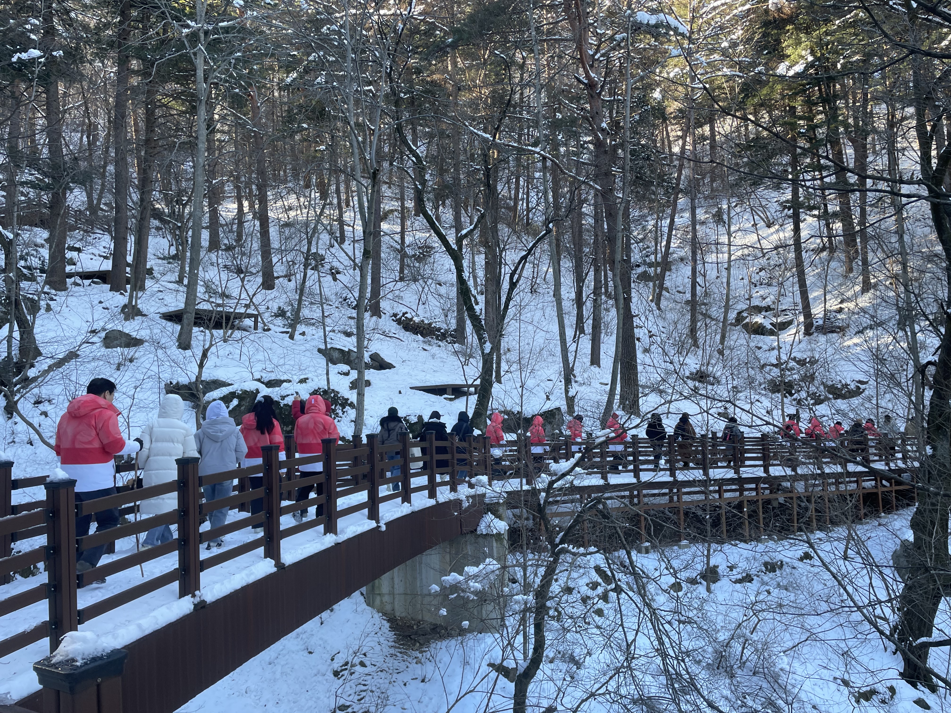 대관령 겨울 프로그램 사진 (3).jpeg