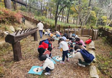 숲노리 자연노리