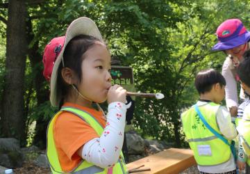 [어린이날] 놀이로 만나는 숲