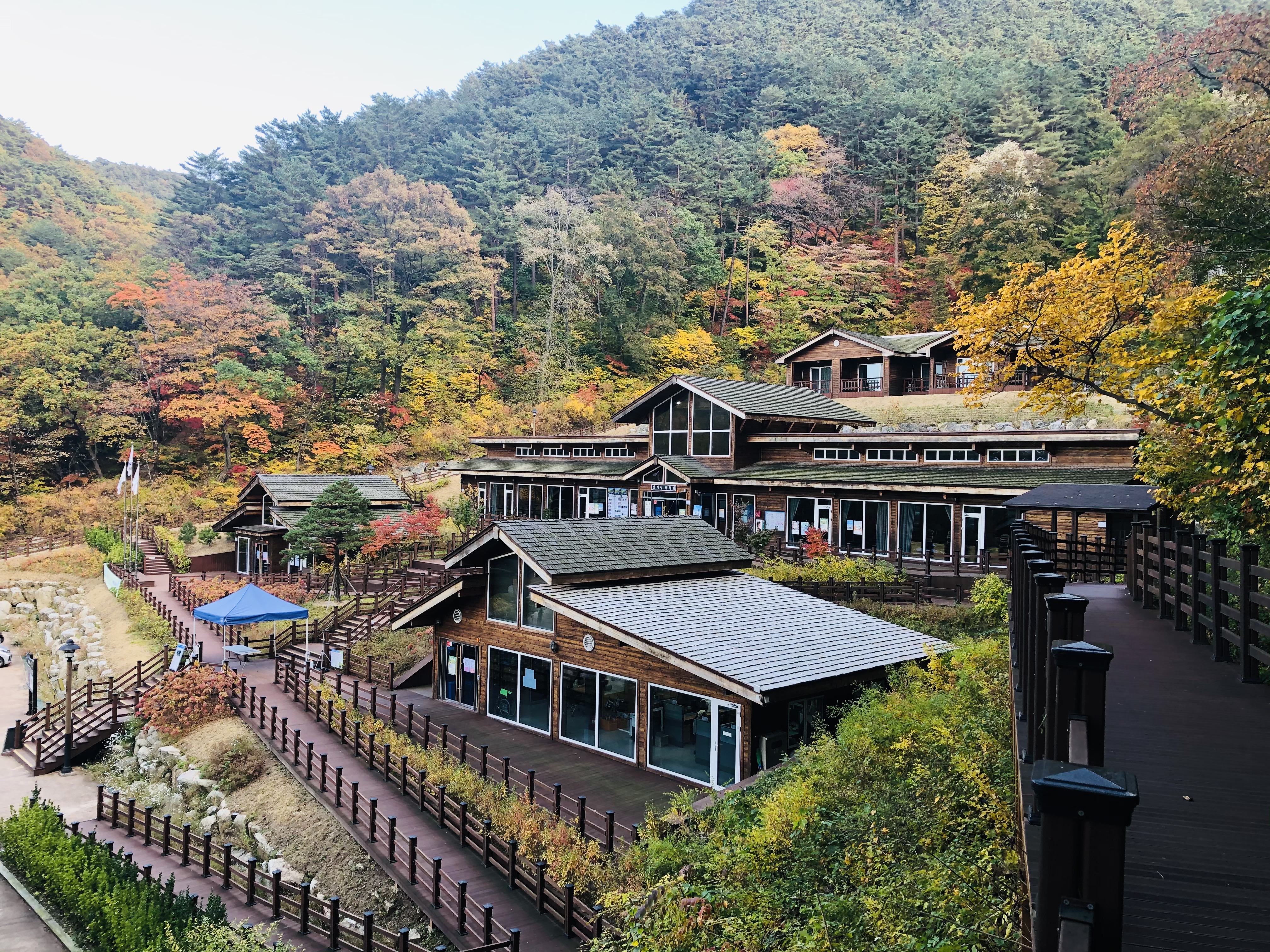 대관령 가을 (6).jpg