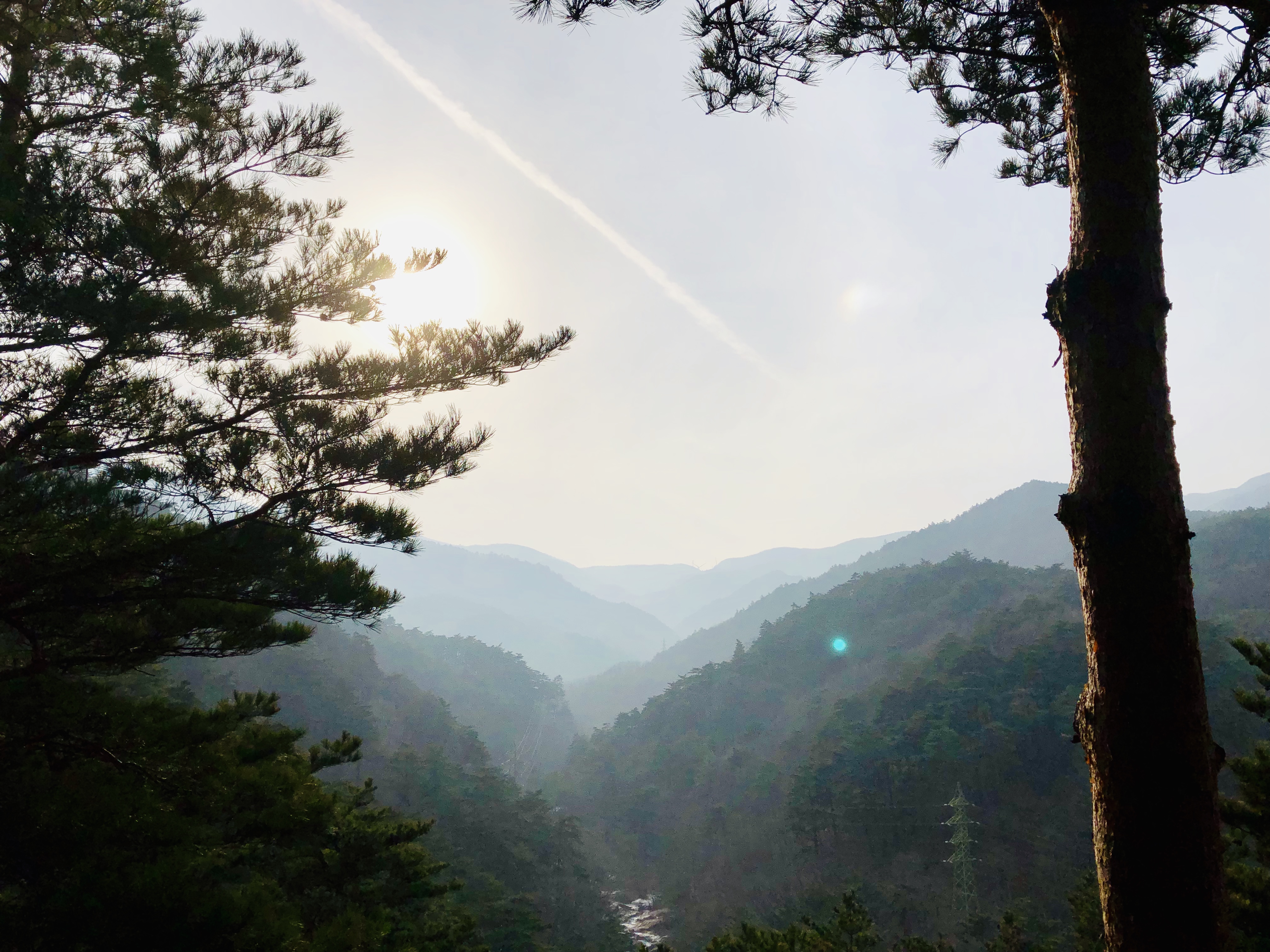 대관령 겨울 (7).jpg