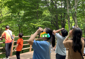 [산림청인증] 버드(Bird) 나무 숲