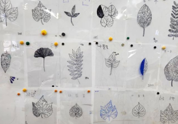 (산림교육)잎새에새겨진식물이야기