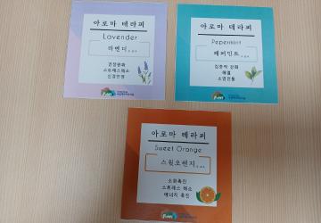 2025년 아로마 테라피 (디퓨져)