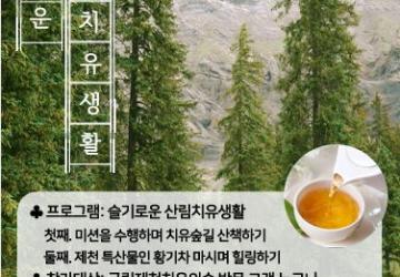 슬기로운 산림치유생활