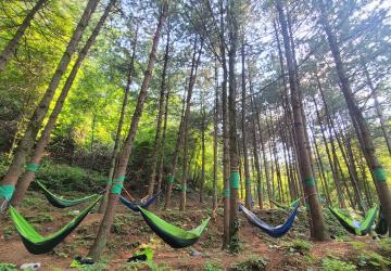 (예천_11월 -2~3주) 숲산책