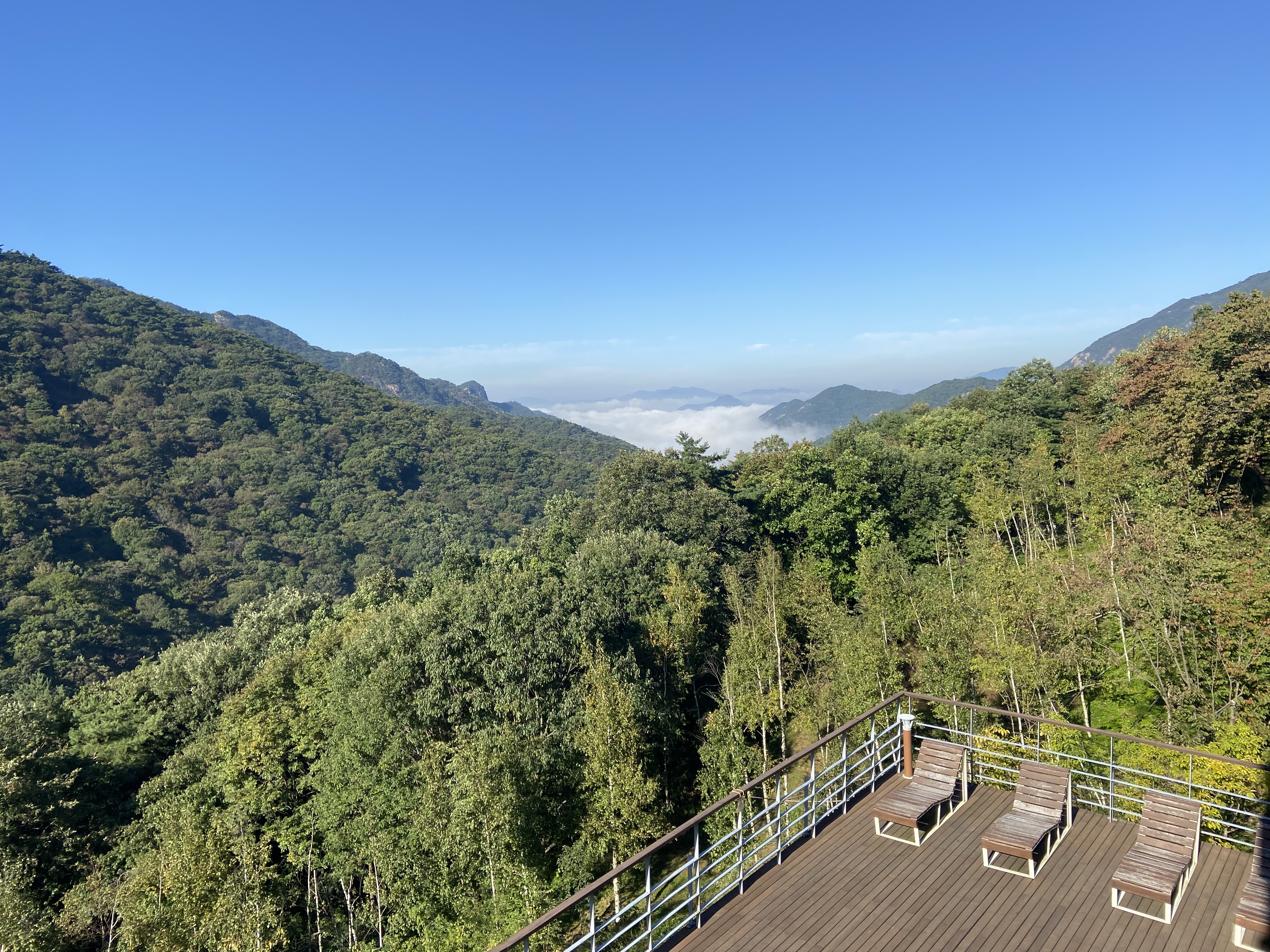 치유센터 전면 데크.jpeg