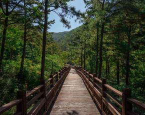 슬라이드이미지