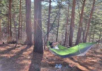 백년숲의 안아드림(林)