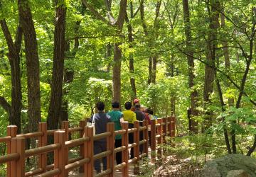 숲, 숨, 쉼 (2시간)