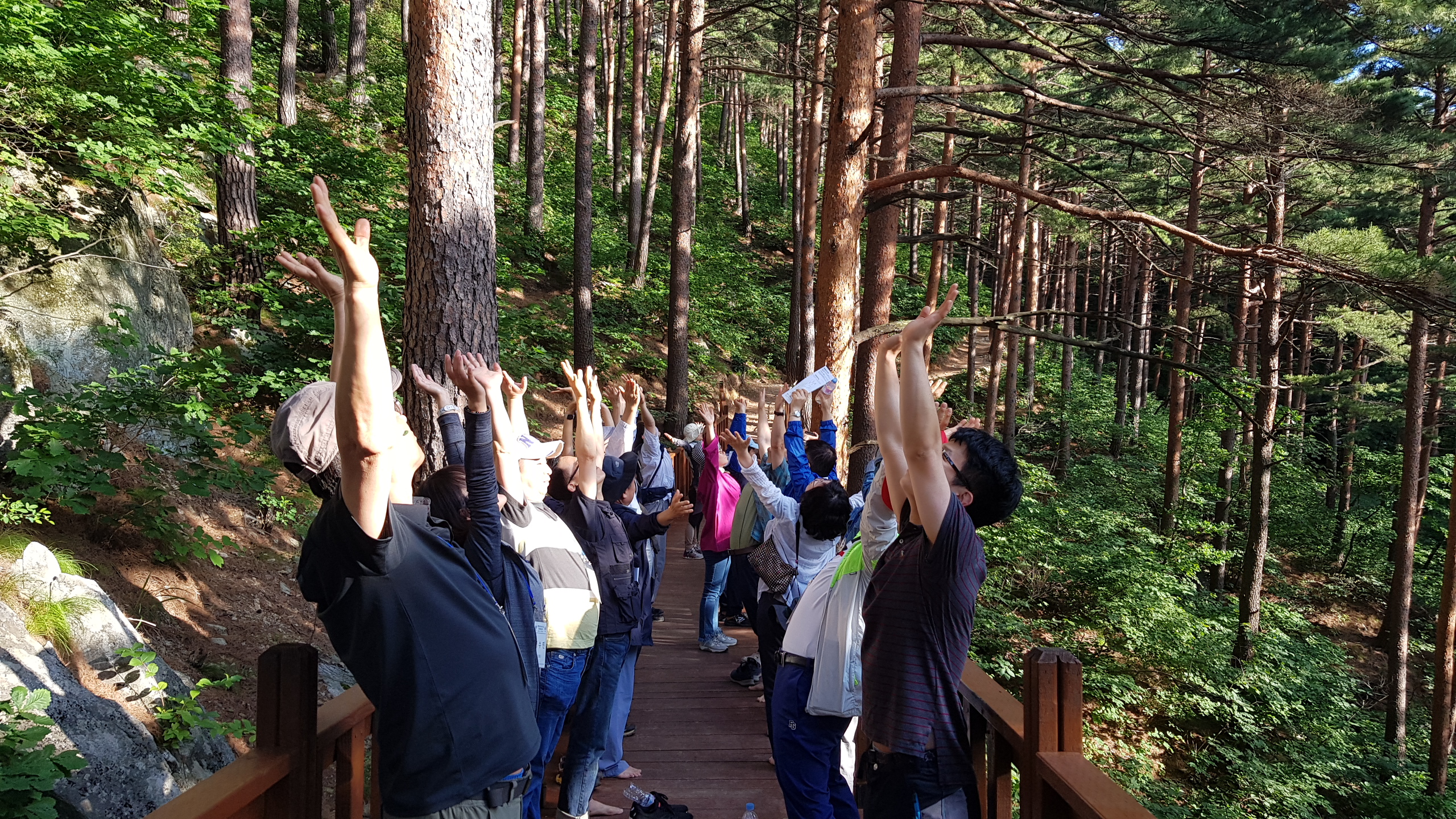 치유의숲 여름 프로그램 체험사진