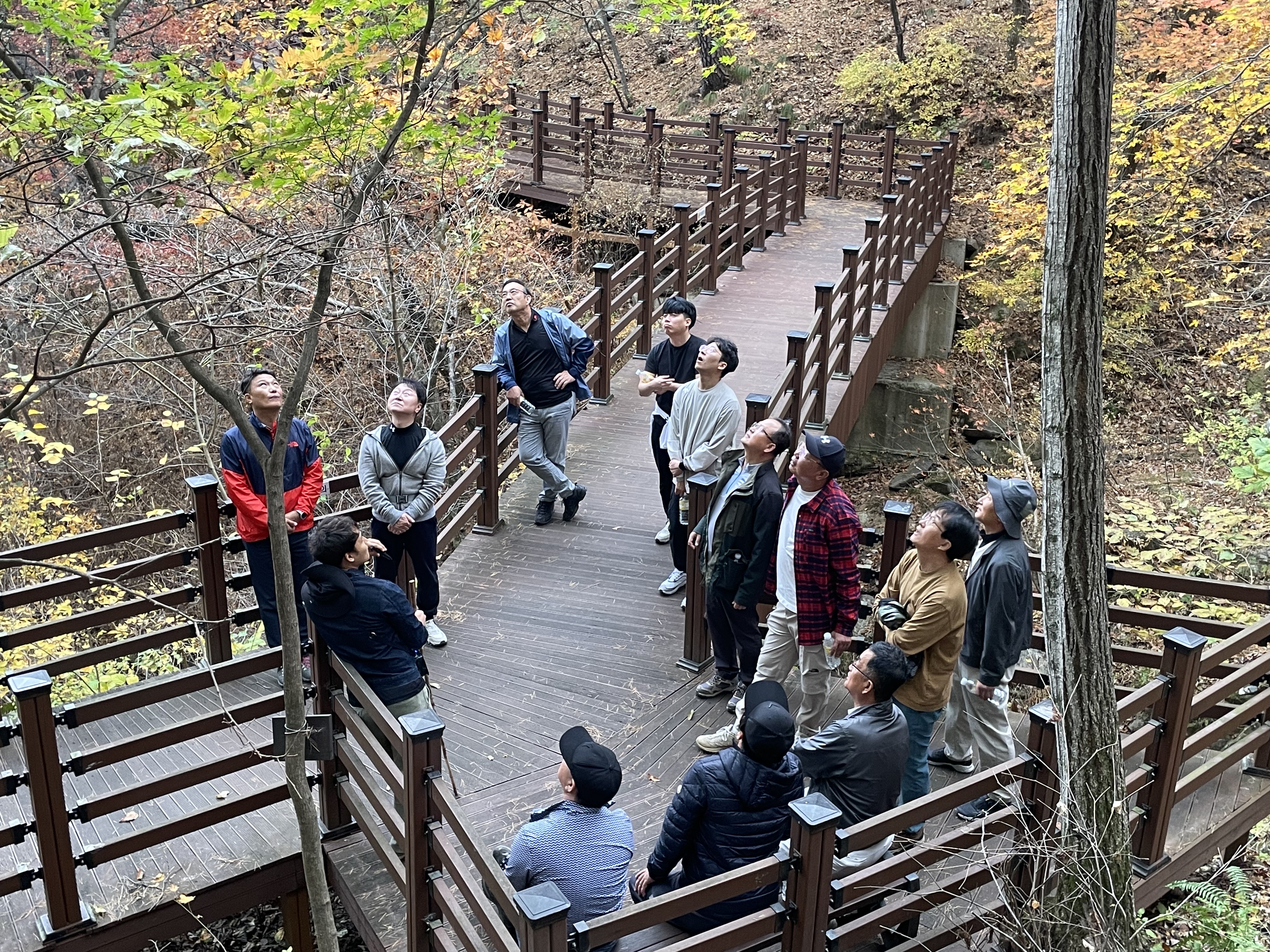치유의숲 가을 프로그램 체험사진