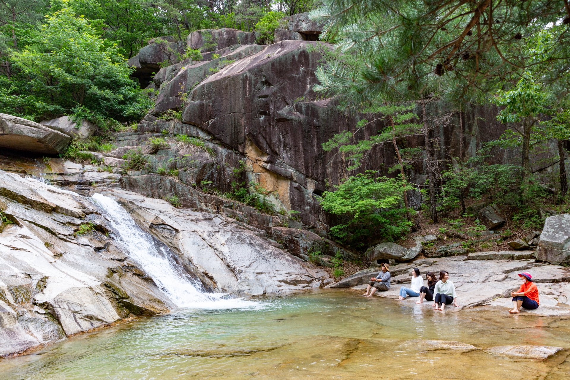 여름이  기다려지는 탁족