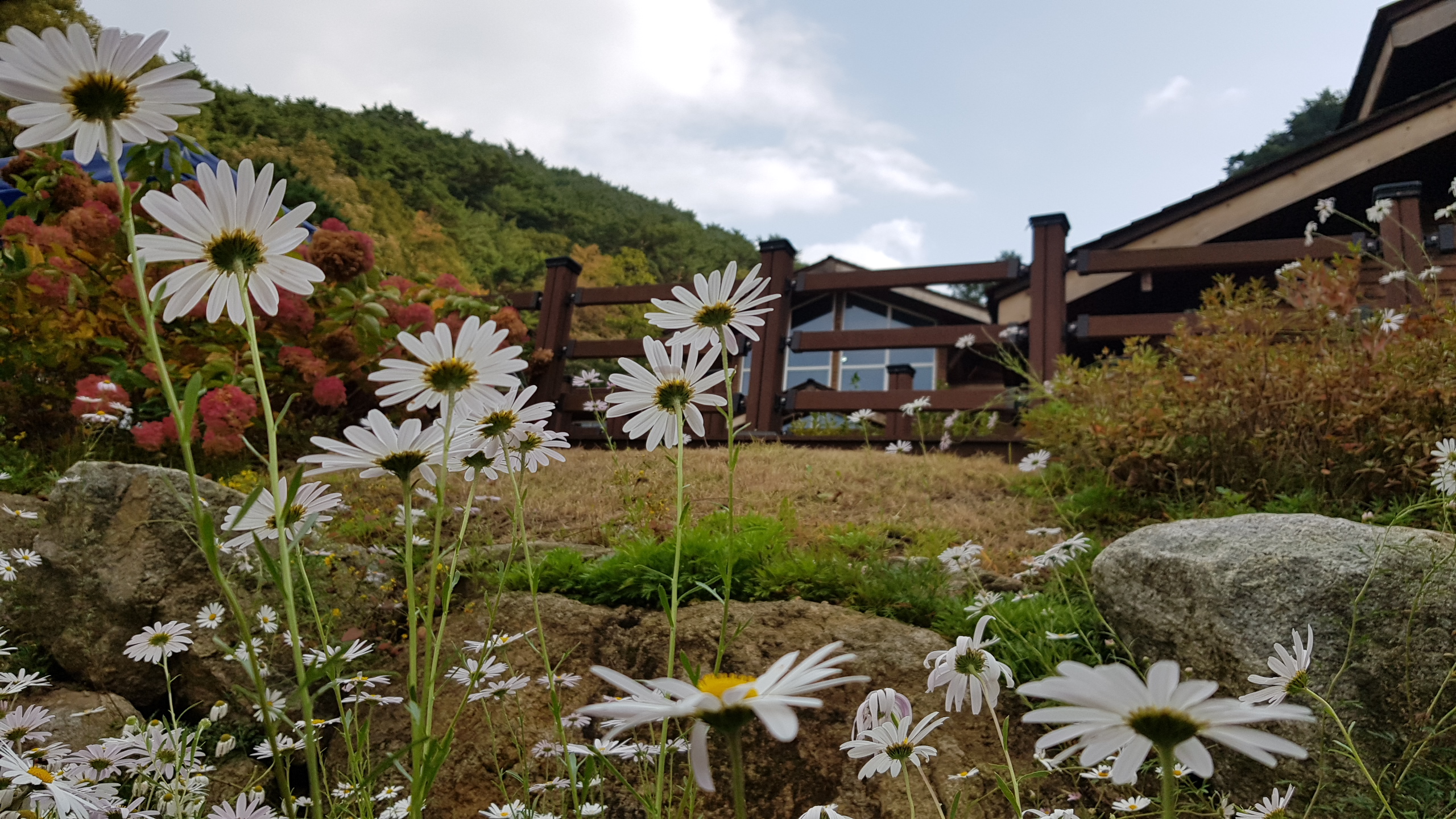 치유의숲 가을 풍경