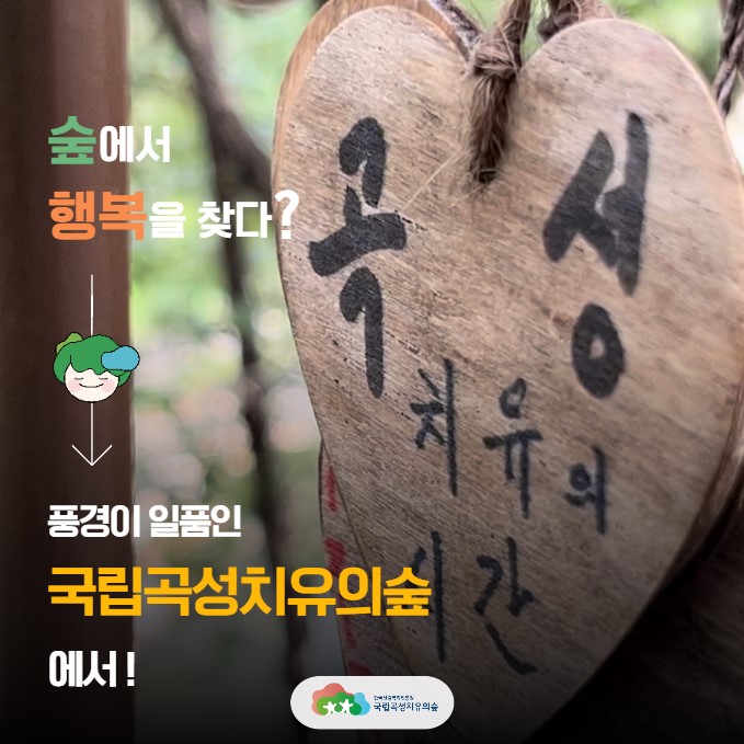 곡성~치유의  시간