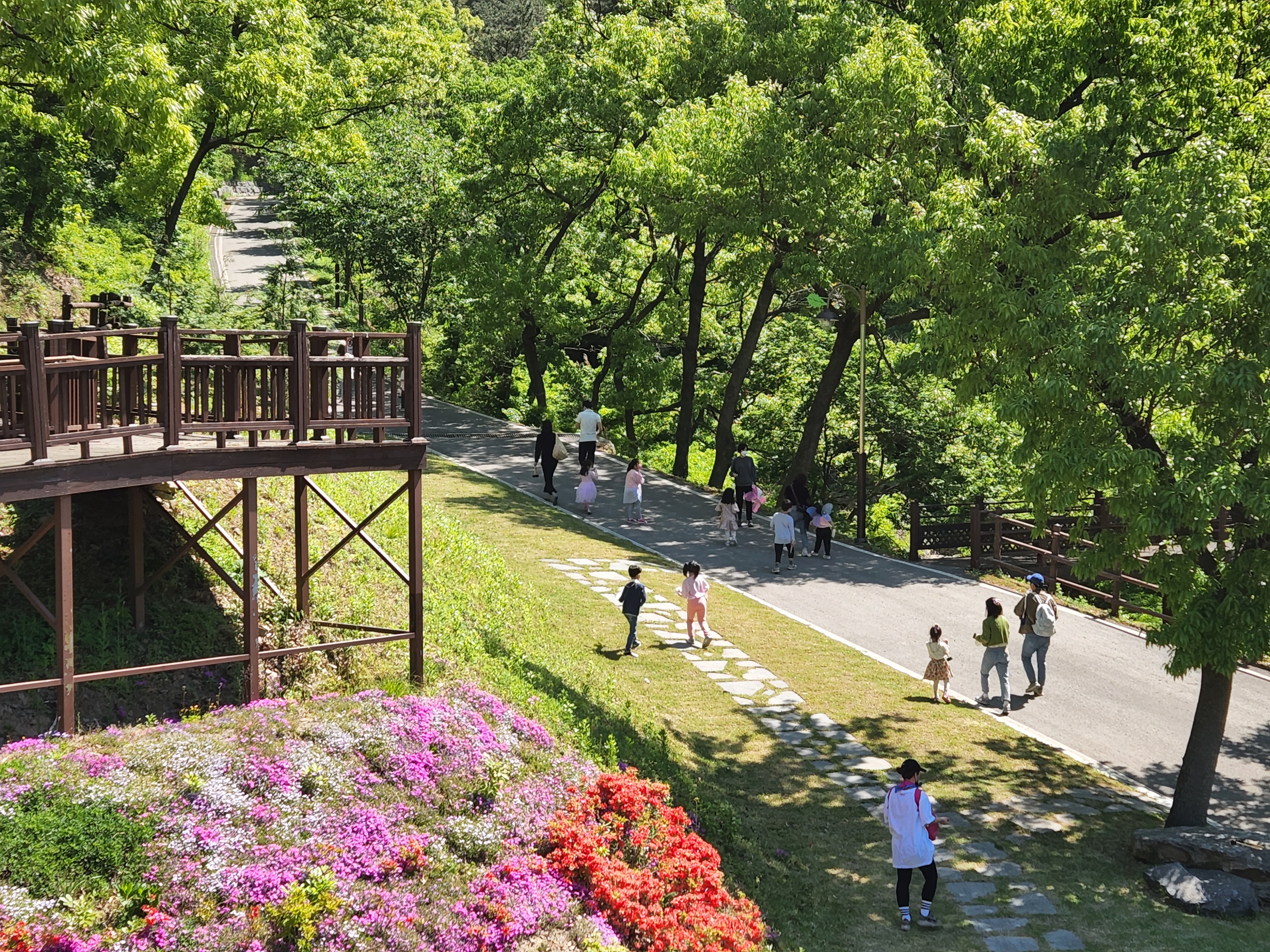 국립예산치유의숲 봄 사진