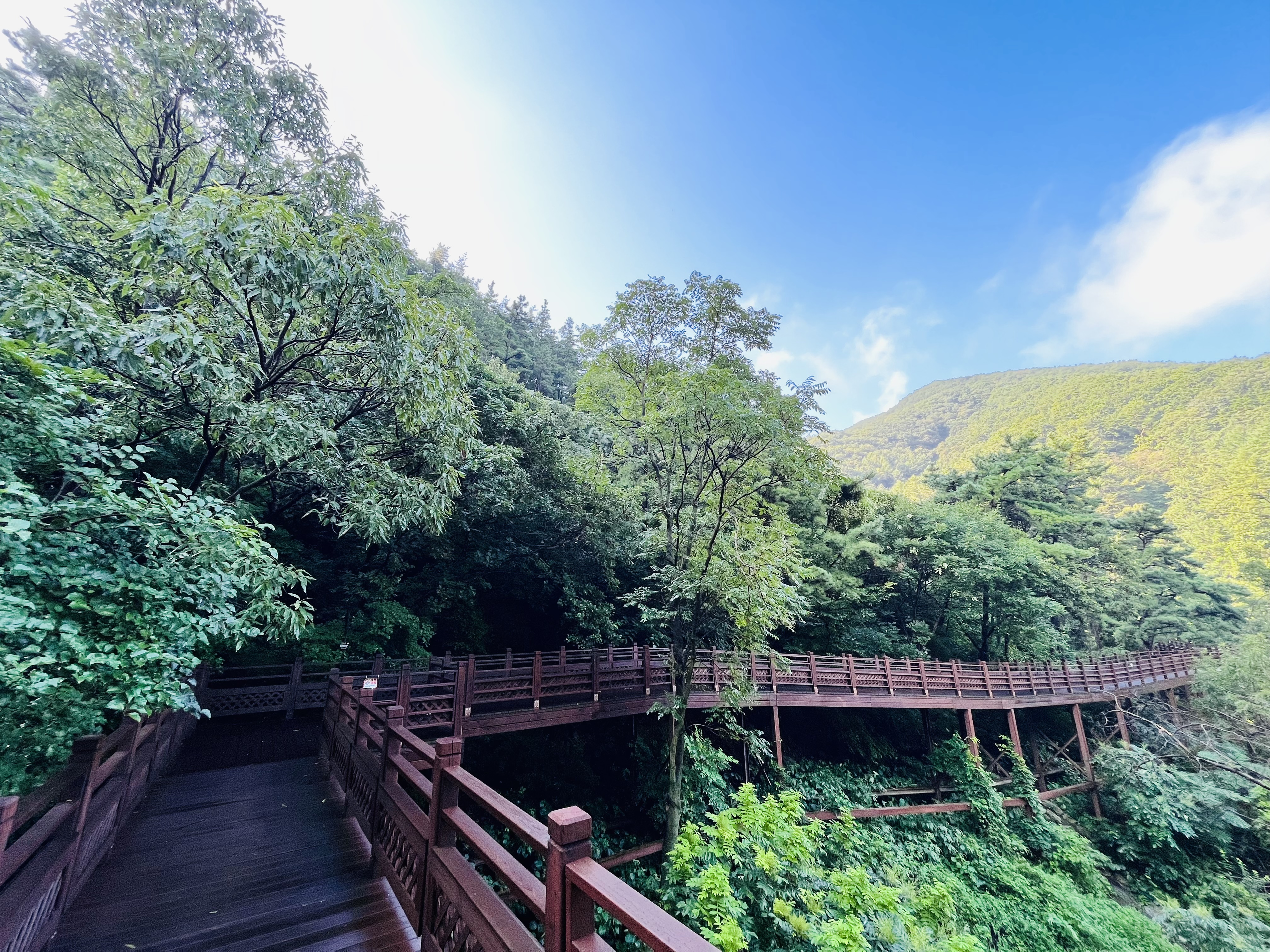 국립예산치유의숲 데크로드