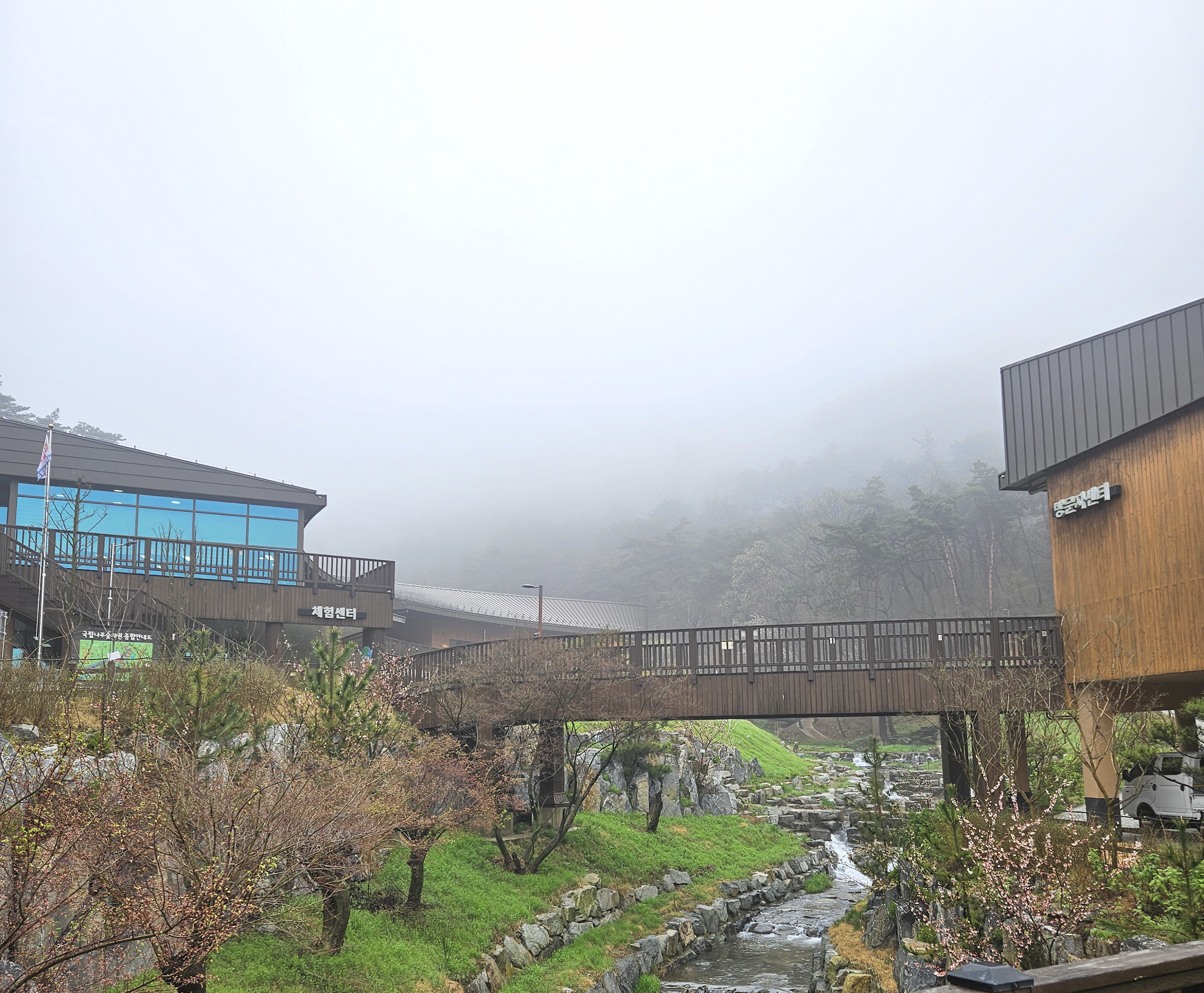 봄비가 내린 후 국립나주숲체원