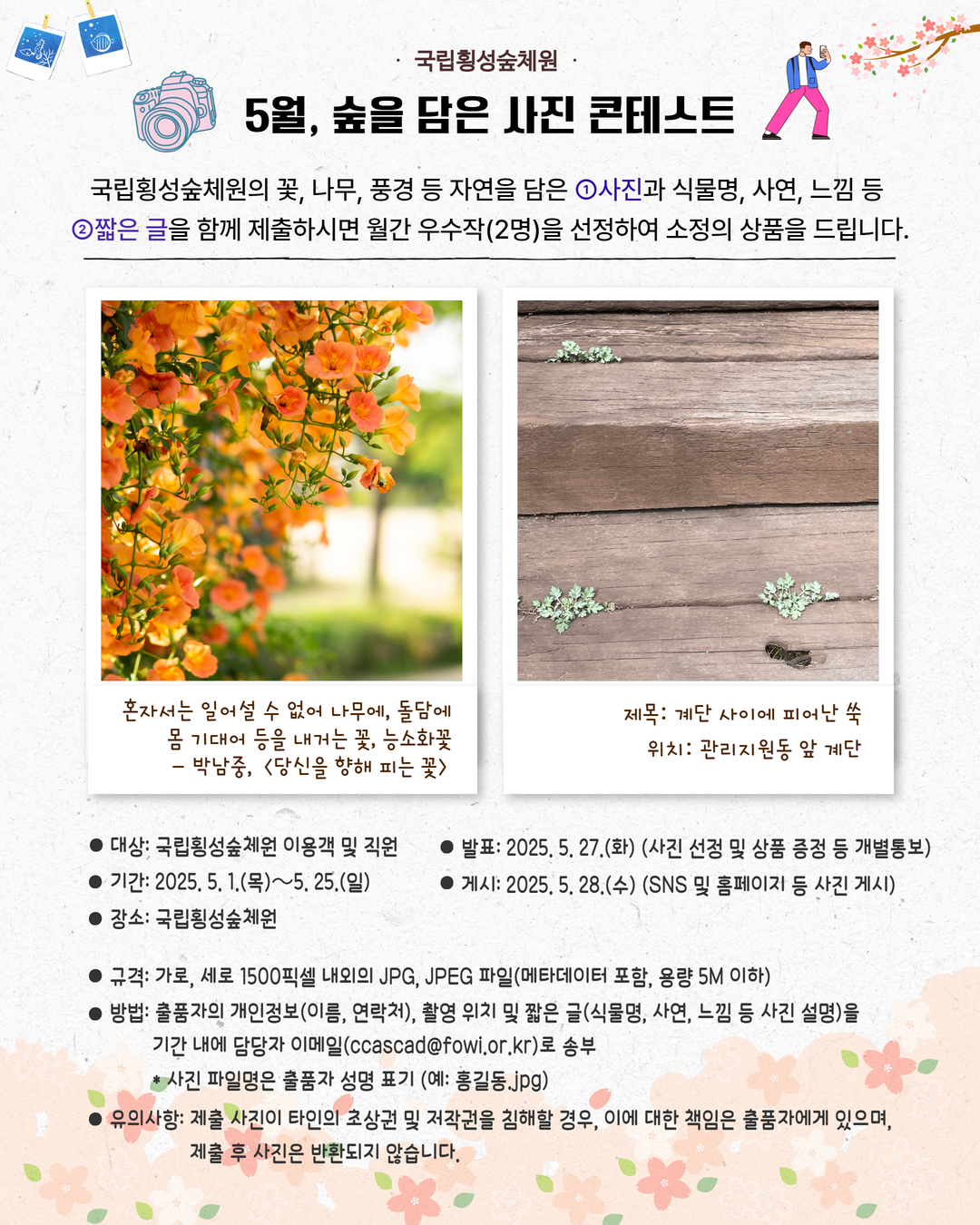 5월, 숲을 담은 사진 콘테스트 개최