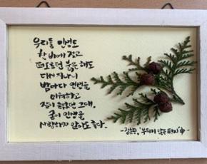 시테라피