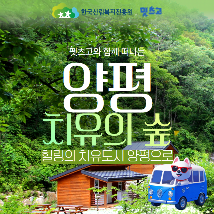 펫츠고와 떠나는 양평치유의숲.jpg